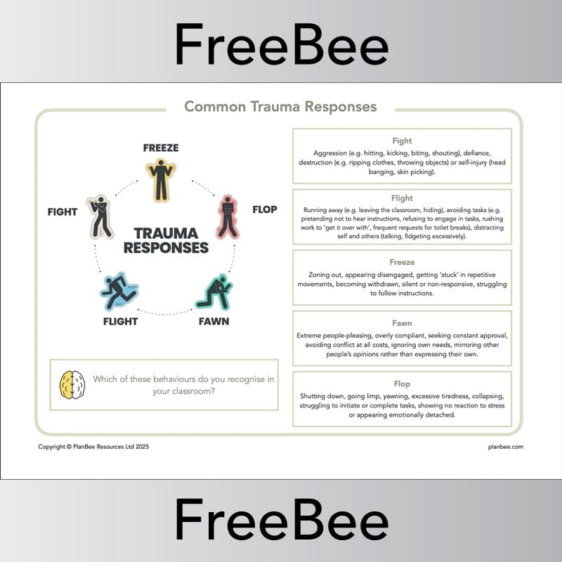 PlanBee FREE Trauma Informed Teaching Pack