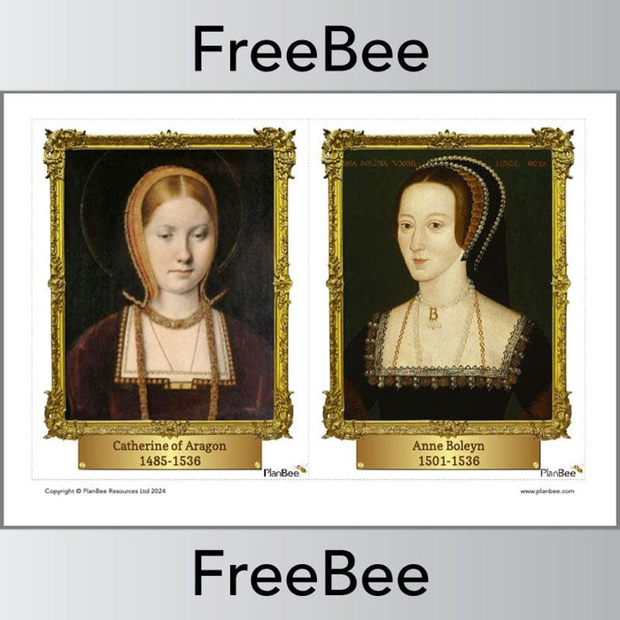 PlanBee Tudors Display | Free Tudor Display Cards for KS2 