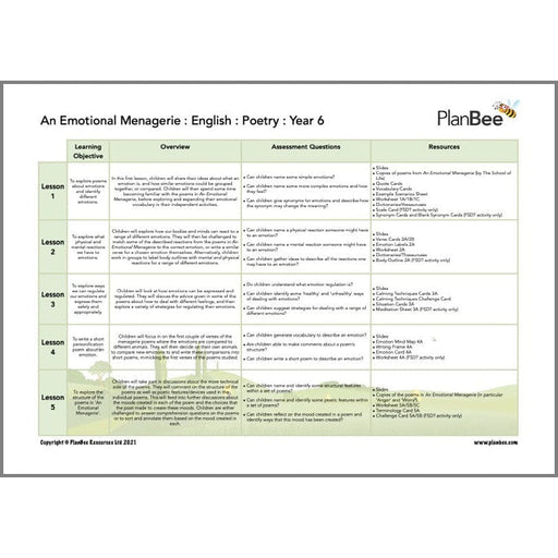 PlanBee Feelings and Emotions KS2 Topic | PlanBee