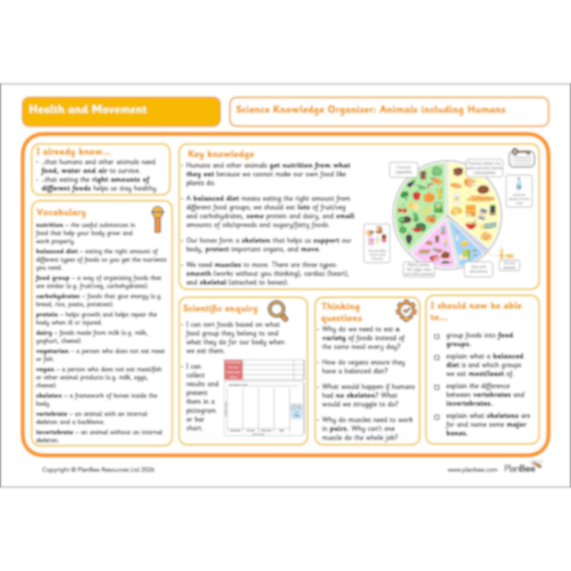 PlanBee Animals Including Humans Year 3 Science Lessons by PlanBee