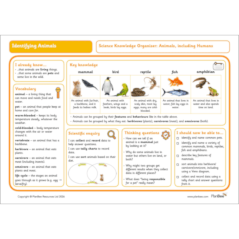 PlanBee Amazing Animals KS1 Topic Bundle by PlanBee