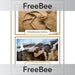 PlanBee Free Fossil KS2 Picture Cards by PlanBee