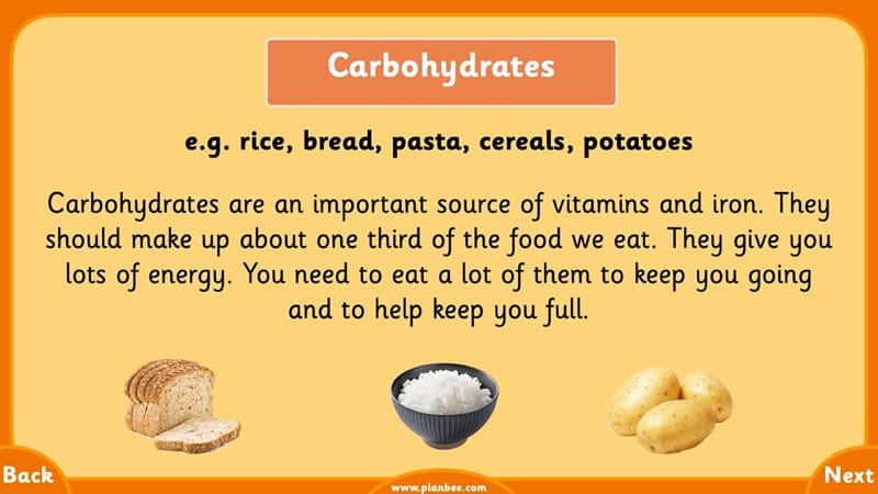 PlanBee Growth and Survival: Animals including Humans Year 2 Science