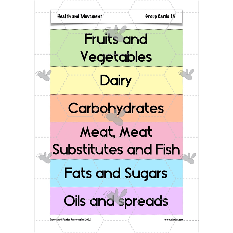 PlanBee Animals Including Humans Year 3 Science Lessons by PlanBee