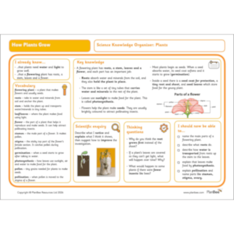 PlanBee Plants Year 3 Planning Pack | Year 3 Science Plants Lessons