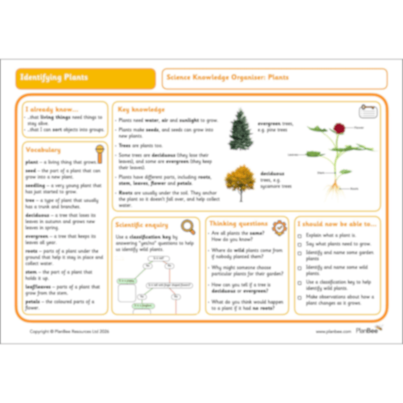 PlanBee Identifying Plants Year 1 | KS1 Plants Lessons | PlanBee