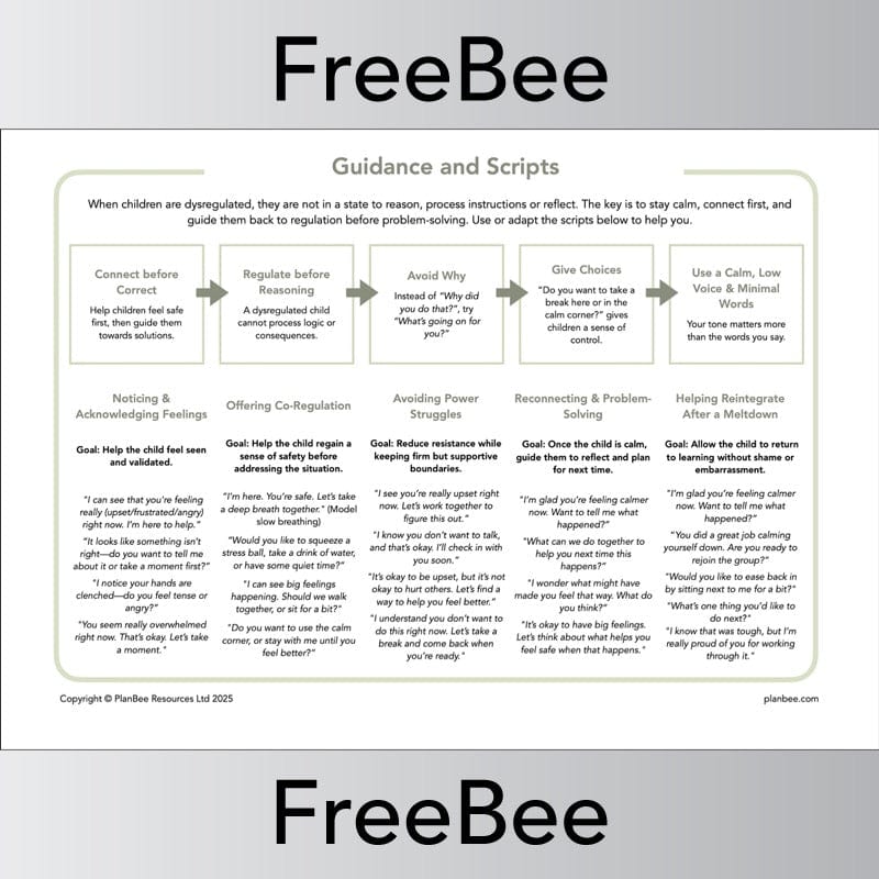 PlanBee FREE Trauma Informed Teaching Pack