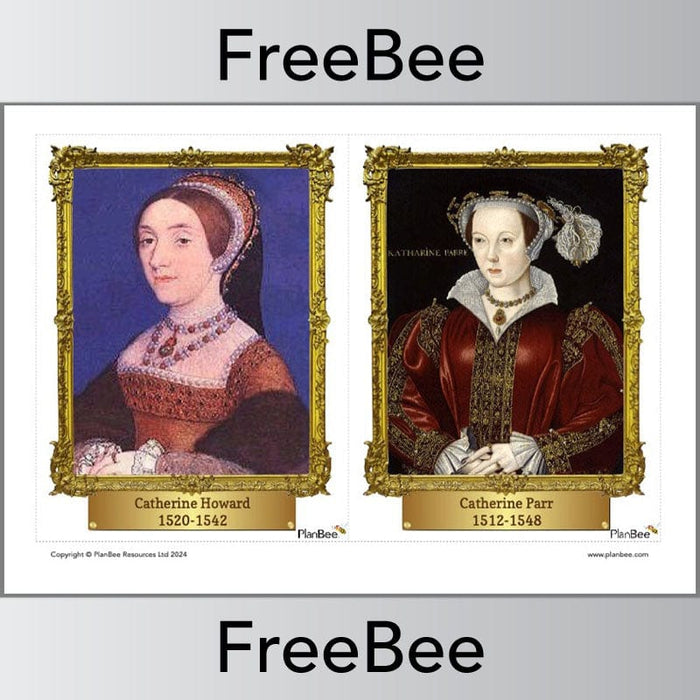 PlanBee Tudors Display | Free Tudor Display Cards for KS2 