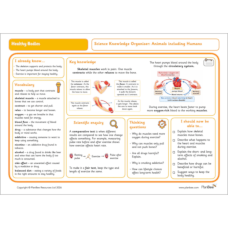PlanBee Healthy Bodies Year 6 Animals including Humans by PlanBee