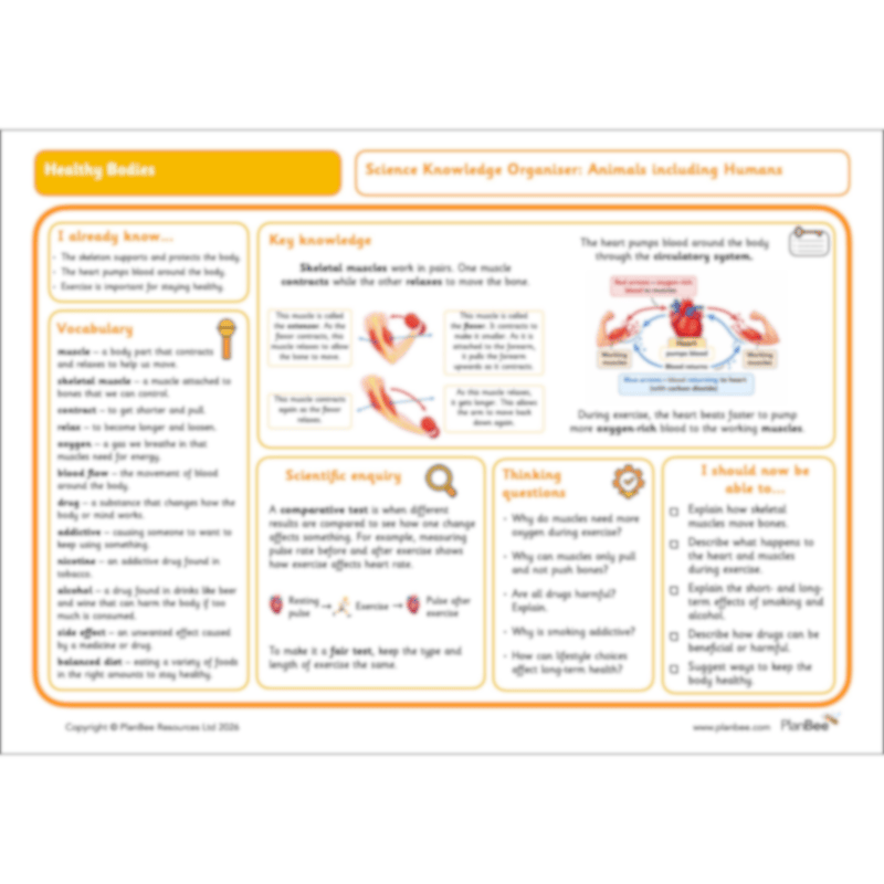 PlanBee KS2 Health Topic Bundle | PlanBee