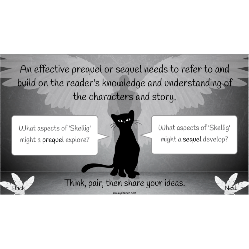 PlanBee Skellig: Narrative