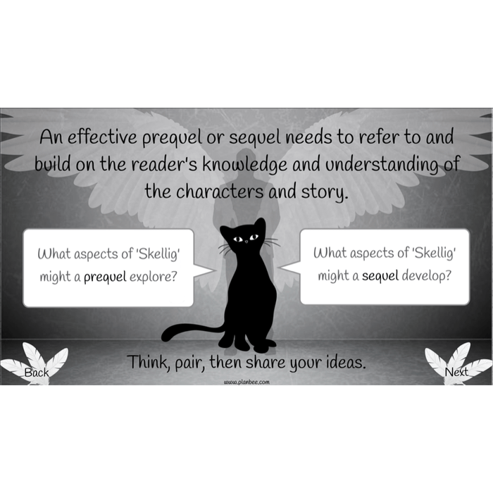 PlanBee Skellig: Narrative