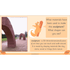 PlanBee Andy Goldsworthy KS1 Art Lesson Plans created by PlanBee