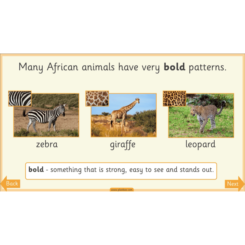 PlanBee Animal Art KS1 | Art Lesson Pack