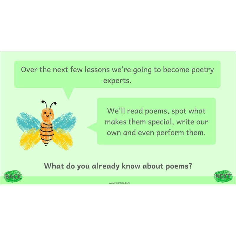 PlanBee Animal Poetry KS1 English Lesson Pack