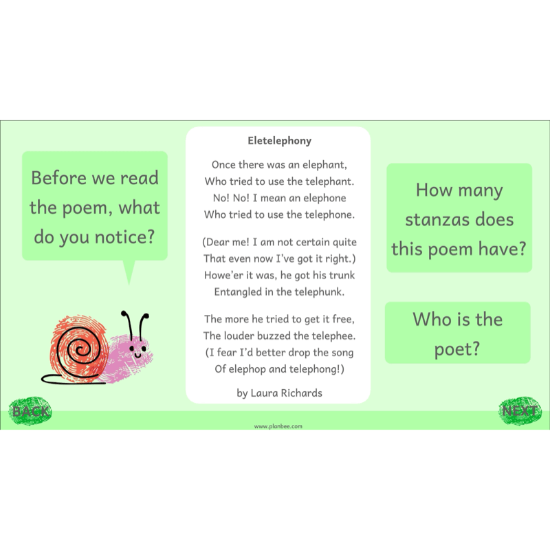 PlanBee Animal Poetry KS1 English Lesson Pack