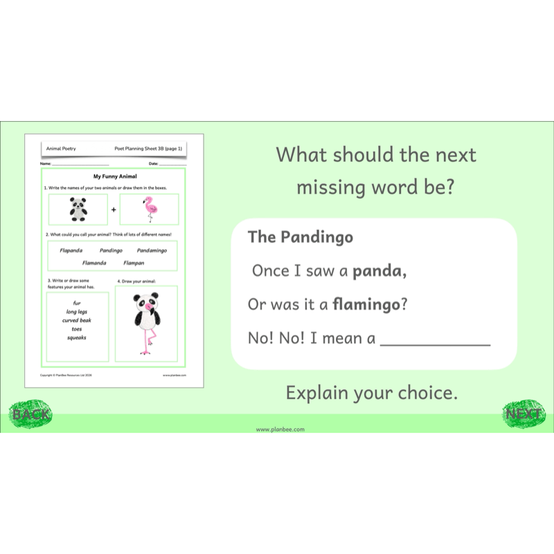 PlanBee Animal Poetry KS1 English Lesson Pack