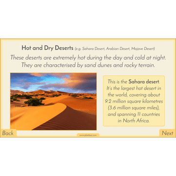 Lesson 4: Desert Biome