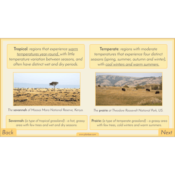 Lesson 5: Grassland Biome