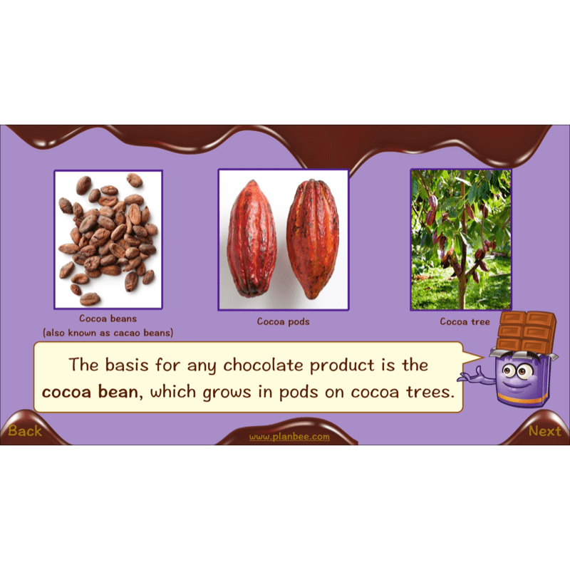 PlanBee Chocolate Topic KS2 Enrichment Lesson Pack