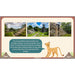 PlanBee KS2 Ancient Maya Civilisation Topic Lessons by PlanBee