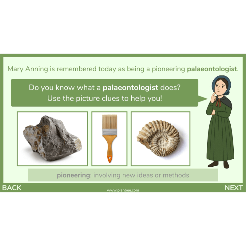 Dinosaurs KS2 Topic Enrichment Pack