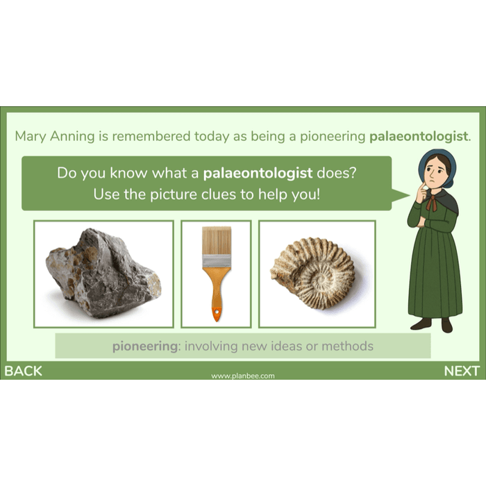 Dinosaurs KS2 Topic Enrichment Pack