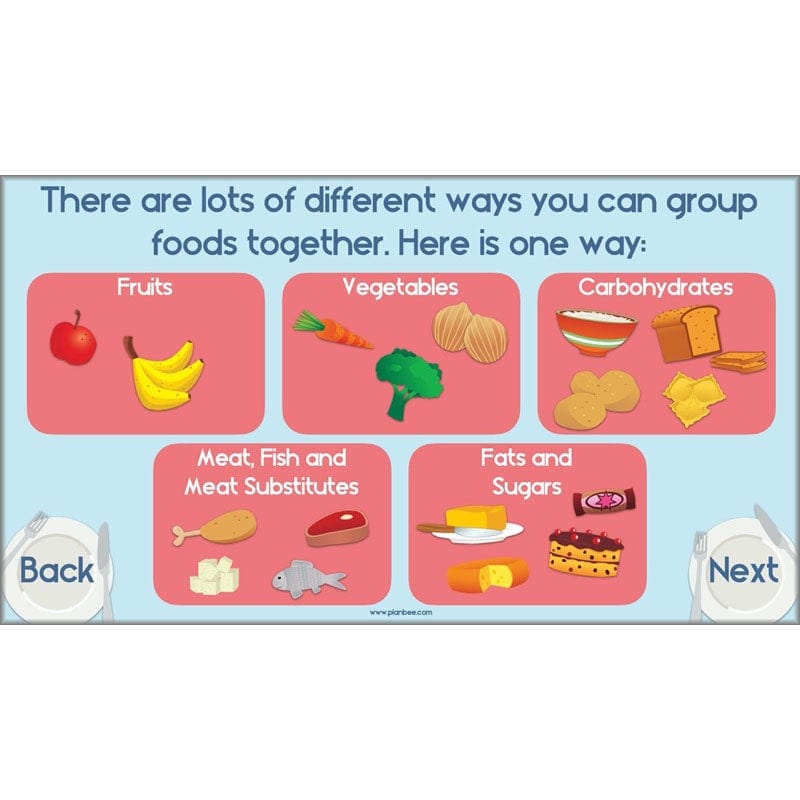 PlanBee Animals Including Humans Year 3 Science Lessons by PlanBee