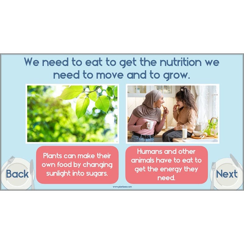 PlanBee Animals Including Humans Year 3 Science Lessons by PlanBee