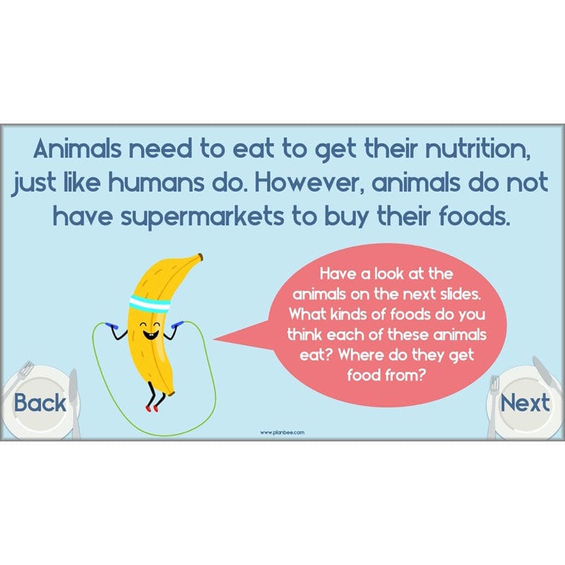 PlanBee Animals Including Humans Year 3 Science Lessons by PlanBee