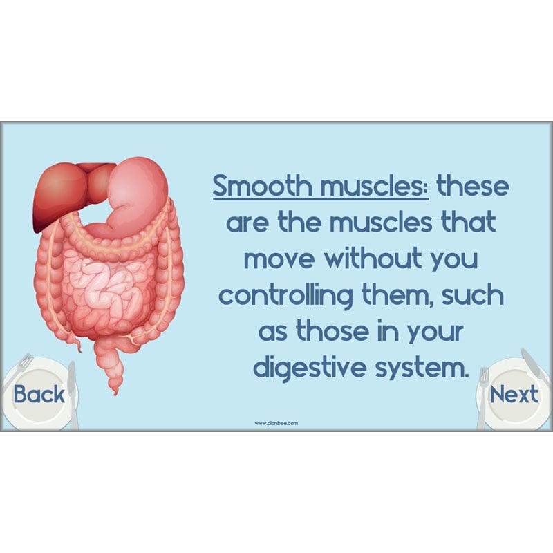 PlanBee Animals Including Humans Year 3 Science Lessons by PlanBee