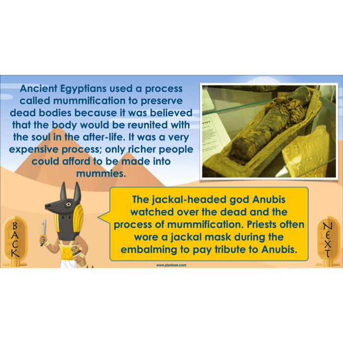 PlanBee Explanation Texts: How to Mummify a Tomato | KS2 English