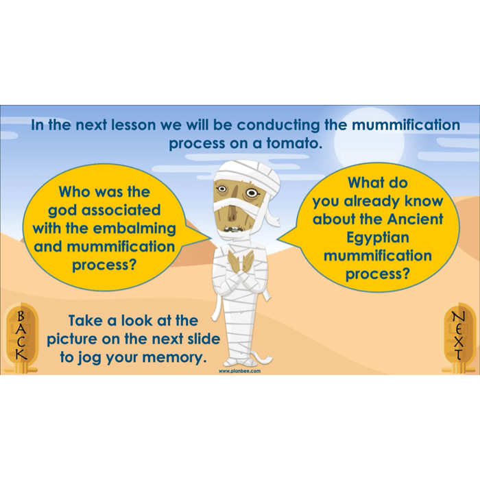 PlanBee Explanation Texts: How to Mummify a Tomato | KS2 English