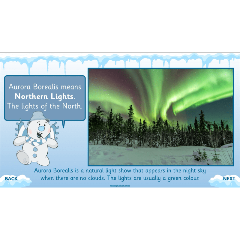 PlanBee In the Arctic Topic KS1 Enrichment Lesson Pack
