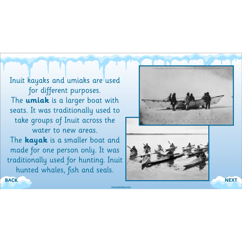 PlanBee In the Arctic Topic KS1 Enrichment Lesson Pack