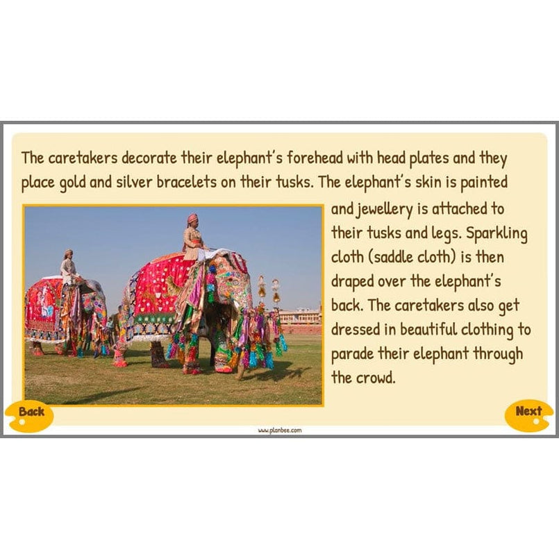 Indian Lesson Indian Art KS2 Lesson Planning Packs for Year 3/4 by PlanBee