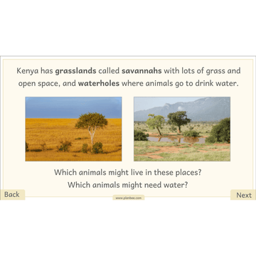 Lesson 3: Animals in the Savannah