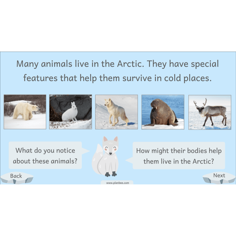 PlanBee Let's go to the Arctic KS1 Geography Lesson Pack