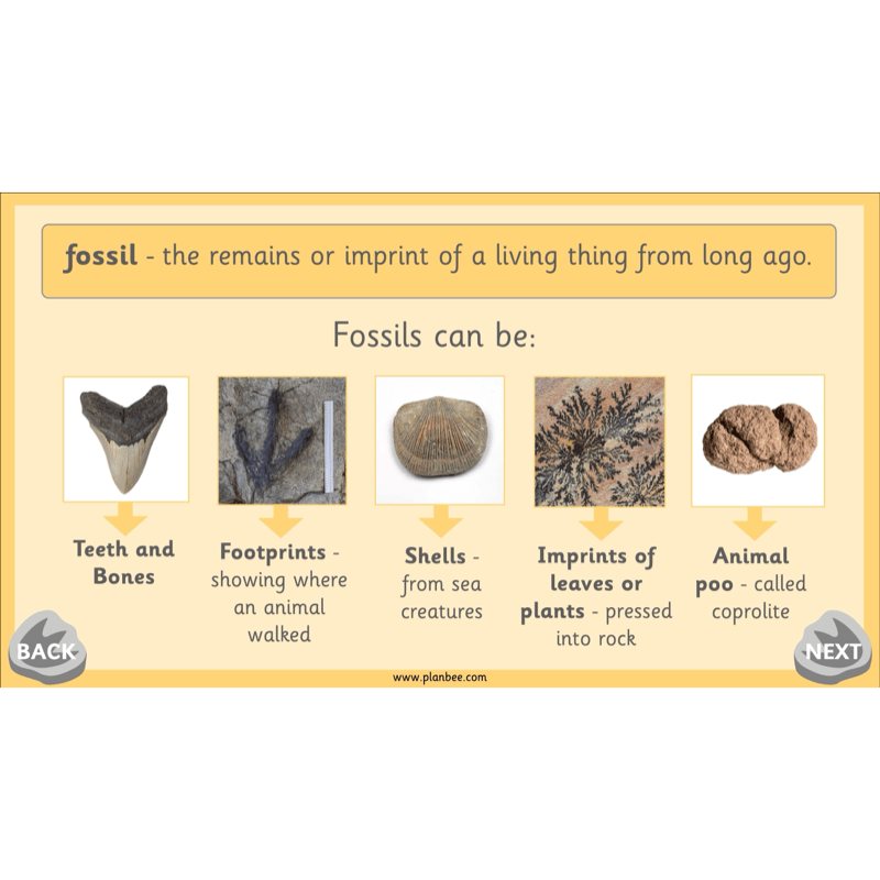 PlanBee Mary Anning KS1 | History Lesson Pack 