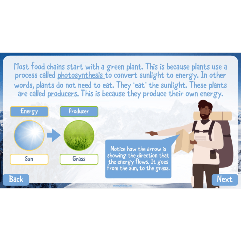 PlanBee Mountain Science KS2 | Food Chains, Adaptation & Life Cycles