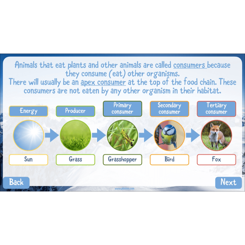 PlanBee Mountain Science KS2 | Food Chains, Adaptation & Life Cycles