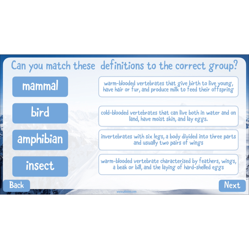PlanBee Mountain Science KS2 | Food Chains, Adaptation & Life Cycles