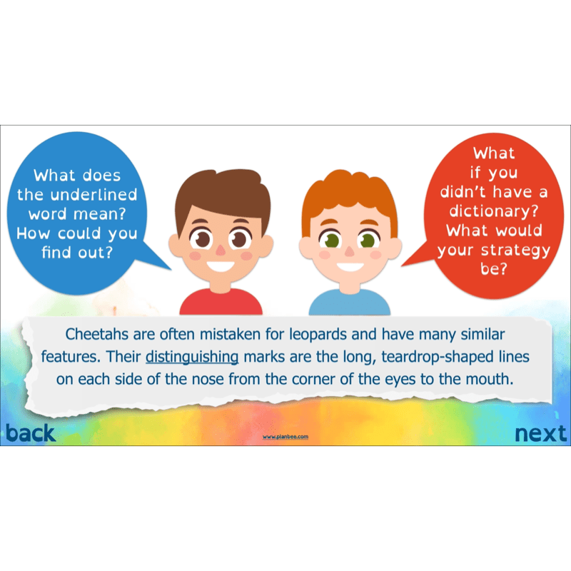 PlanBee Non-chronological Reports Year 6 English Planning