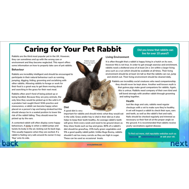 PlanBee Non-chronological Reports Year 6 English Planning