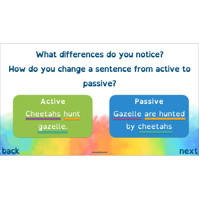 PlanBee Non-chronological Reports Year 6 English Planning