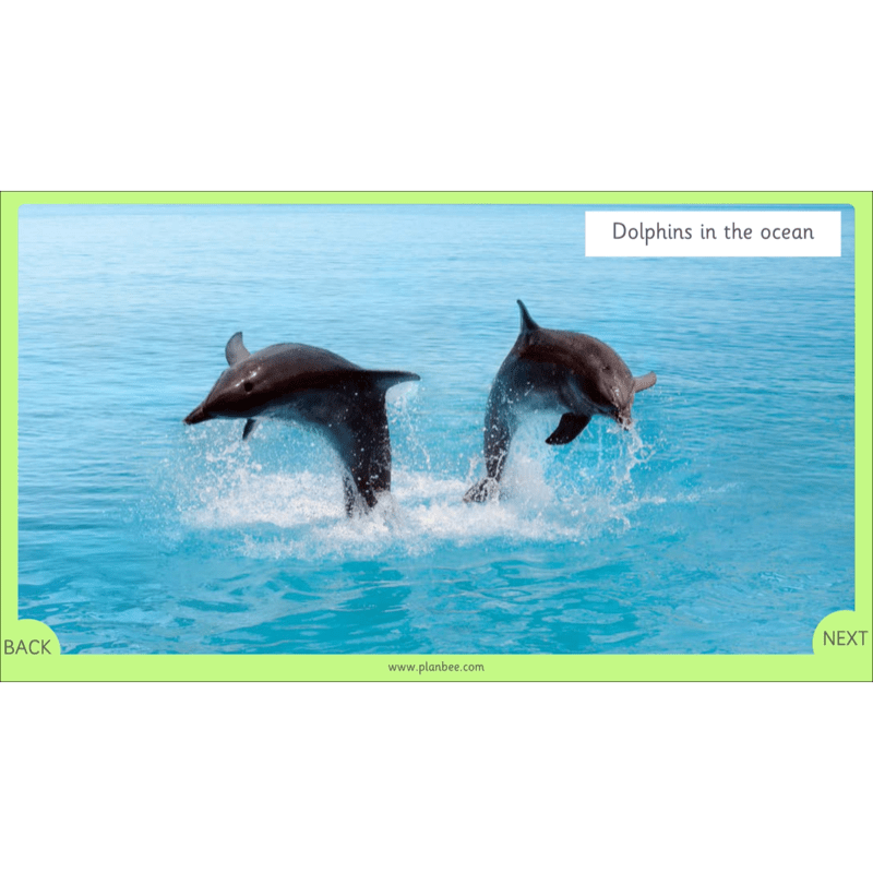 PlanBee Our Wonderful World - Creation Story KS1 RE Lessons | PlanBee