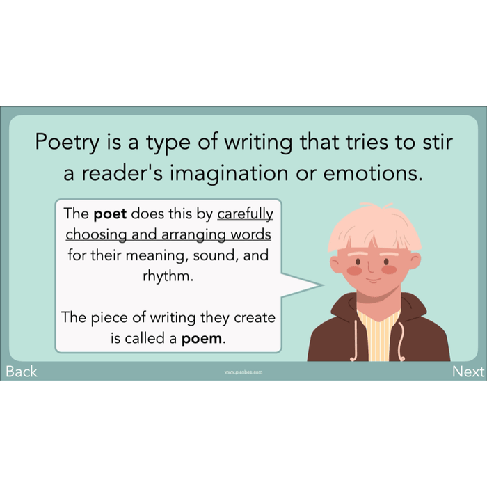 PlanBee Year 3 Patterns in Poetry | Investigating Types of Poems
