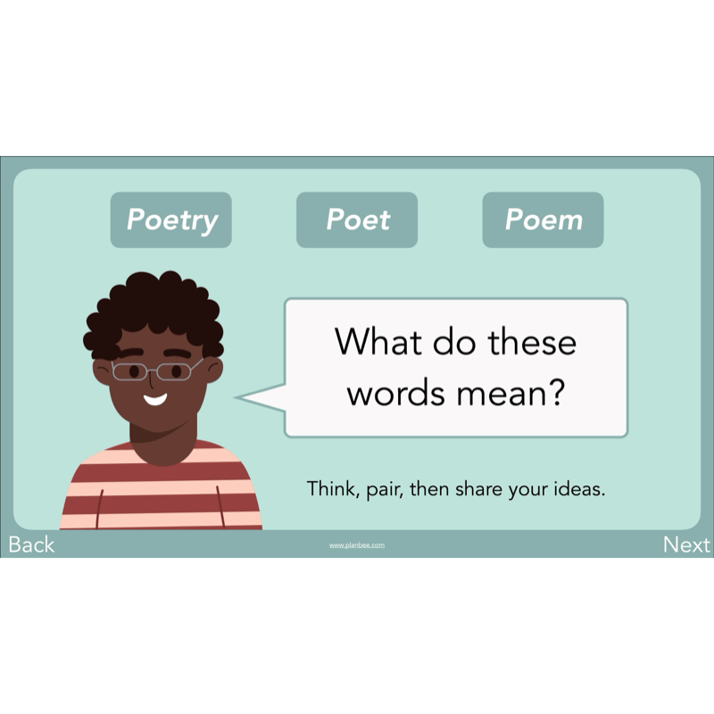 PlanBee Year 3 Patterns in Poetry | Investigating Types of Poems