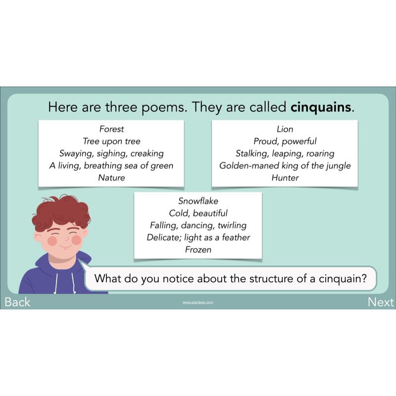 PlanBee Year 3 Patterns in Poetry | Investigating Types of Poems