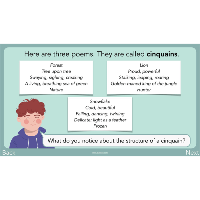 PlanBee Year 3 Patterns in Poetry | Investigating Types of Poems